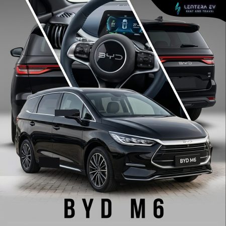 BYD M6